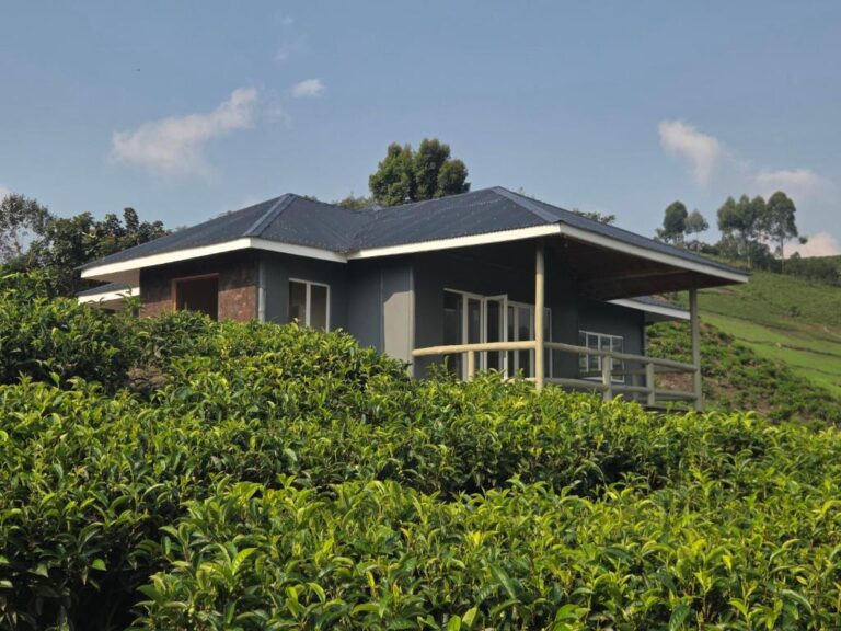 Mukiza Gorilla Lodge