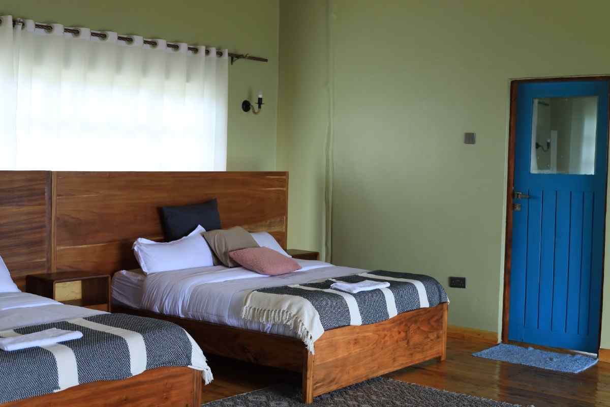 Mukiza Gorilla Lodge accommodation and surroundings