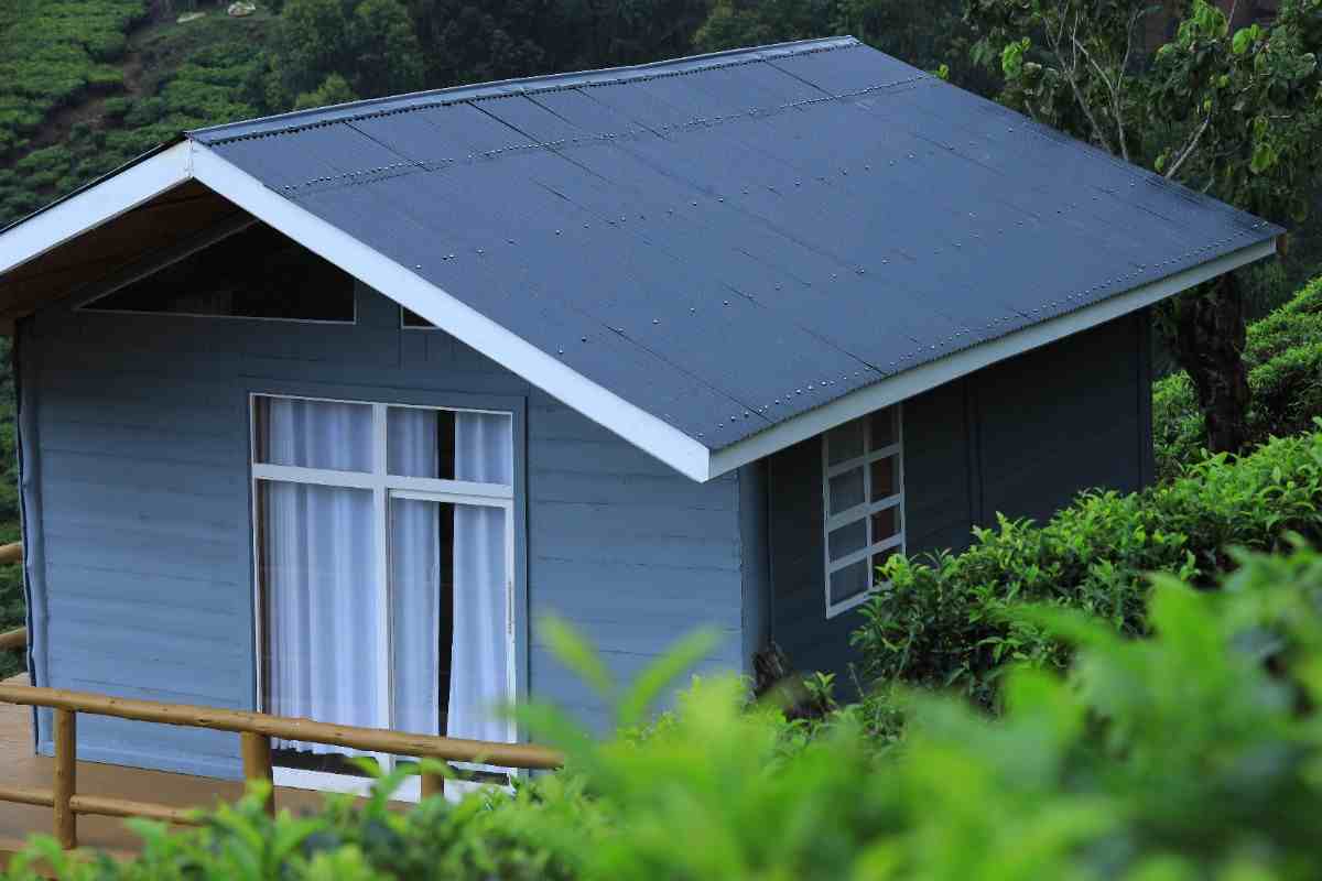 Mukiza Lodge and its natural surroundings